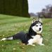 Laura Scheuer - Facebook