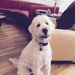 Laura Scholl - @scholl0119 - Instagram