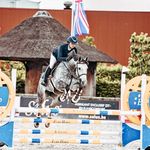 Laura Schollaert horses - @lauraschollaerthorses - Instagram