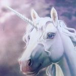 laura schweizer - @laura_schweizer10 - Instagram