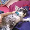 lauraschweizer908 - @lauraschweizer908 - TikTok