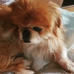 Laura Sciacca Williams - @sciaccawilliams - Instagram