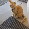 Laura See - @laura.see3 - TikTok