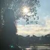 Laura Friedrich Seger Santos - @laura_seger - TikTok