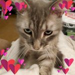 Laura Sue Seger - @laurasue79 - Instagram