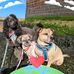 Laura Senft - Facebook