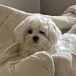 Laura Serafini - @serafini49 - Instagram