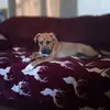 hehehehehehehehehhe - @laurasharp336 - TikTok