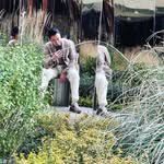 wei Chang - @laurasharp179jrh - Instagram