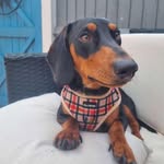Laura Shilling - @pennyshilling82 - Instagram