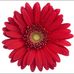 Laura Wilson - Facebook