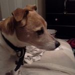 laura shrum - @shrumlaura - Instagram