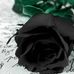 Laura Sidney - Facebook