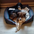 Laura Sieben - Facebook