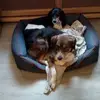 laurasieben43 - @laurasieben43 - TikTok