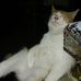 Laura Siler - Facebook