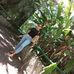 Laura Silvan - Facebook
