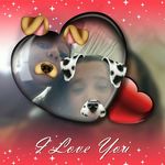 laura sines ferreiros - @lauri_guay_123010 - Instagram