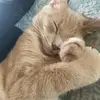 Laura.Slay - @laura.slay3 - TikTok