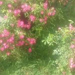 Laura Welker Slocum - @slocumll - Instagram