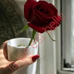Laura Smart - Facebook