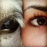 Laura Soberanes Hern - @lsoberanesh - TikTok