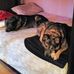 Laurie Souter - Facebook