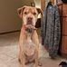 Laura Spano - Facebook