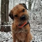 Laura Speight - @sp8_k9 - Instagram