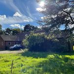 Laura, Steven & Flo Spinks - @thepaddocks_ournorfolkhome - Instagram