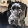 Laura Busquier - @laurabusquier - TikTok