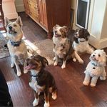 Laura Steelman - @laura.steelman.88 - Instagram