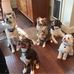 Laura Steelman - Facebook