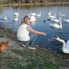 laura - @laurasteinhauser1 - TikTok