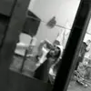 Laura Strauss - @strausslaura - TikTok