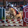 Laura 🐴🤍 - @laura.best.rider - TikTok