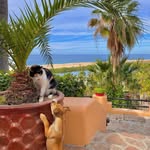 Laurie Struble - @lauriestruble - Instagram