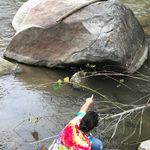 Laura Stuck - @gracerockhoundrookie - Instagram