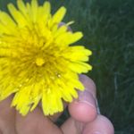 Laura Studebaker - @laura_studebaker - Instagram