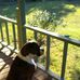 Laura Sword - Facebook