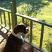 Laura Sword - Facebook