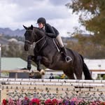 Laura Tadlock - @lauratad_eq - Instagram