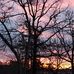 Lori Tadlock - Facebook
