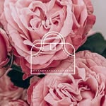 Laura Taibo - @laurataibo_maletines_diseno - Instagram