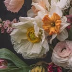 Laura Tait - @laurataitphotography - Instagram