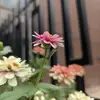 Laura Talbot - @laura.talbot5 - TikTok