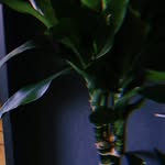 laura - @lauratech - Instagram