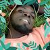 Lawre Tush - Facebook