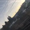 Laura Tempel - @sniiksschwester - TikTok