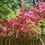Laura Terrell - Facebook